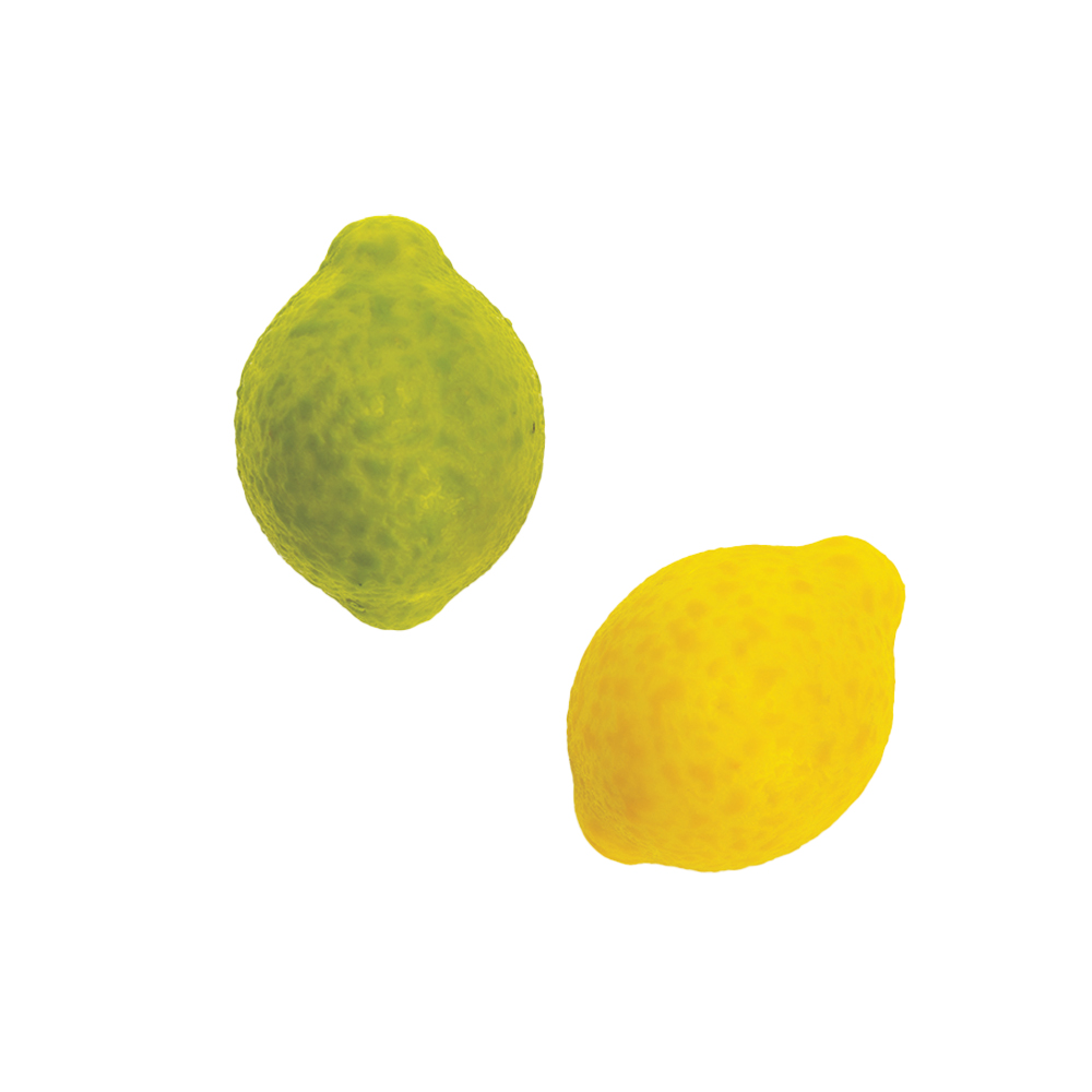 Martellato Zesty Lemon Polycarbonate Chocolate Mold, 21 Cavities