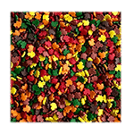 Sweetapolita Autumn Confetti, 3 oz.